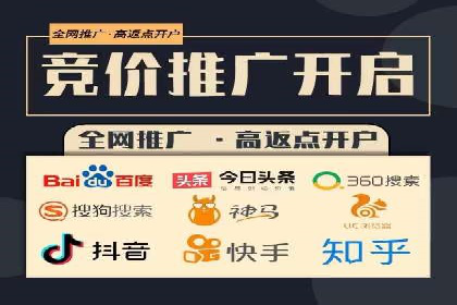 某知名品牌SEM运营策略及效果评估